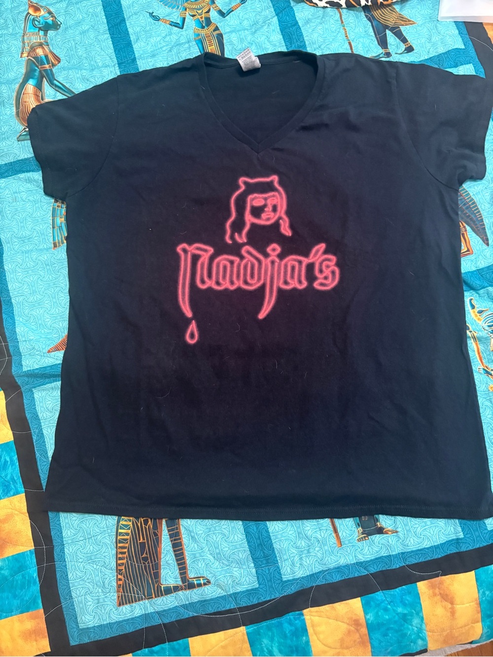 Gildan Black V-Neck Tee with Pink Logo Graphic